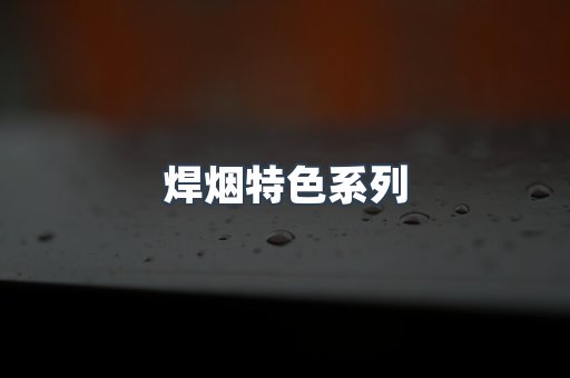 焊烟特色系列