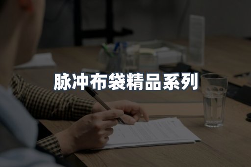 脉冲布袋精品系列